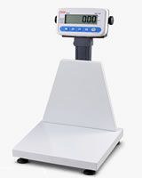 Elektronik Baskül